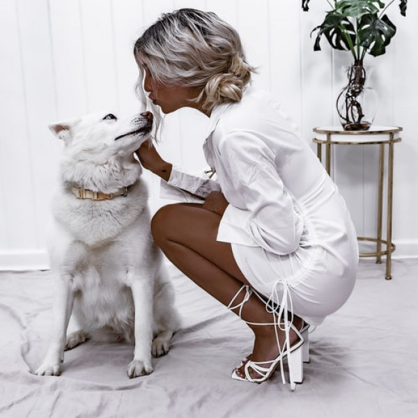 Wszystko, co musisz wiedzieć o stylu basic